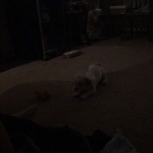 Meet your Posher, Joanne